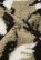 Reima Kinder Sweater Turkkinen Beige